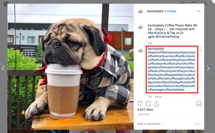 hashtags example in post