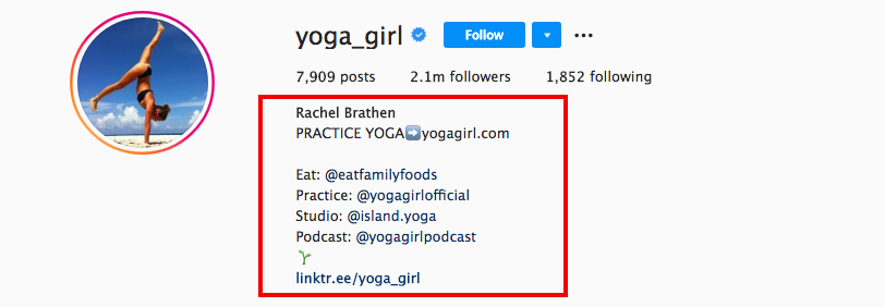 Instagram mega-influencer