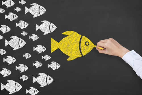 Finding Social Media Influencers To Gain Instagram Followers For Your Brand