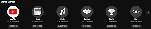 start a youtube channel select a niche